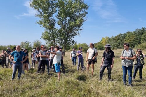 Účastníci mezinárodní konference zaměřené na pestřenky dnes navštívili milovickou rezervace velkých kopytníků